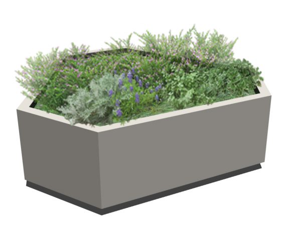 HEXA : PLANTER