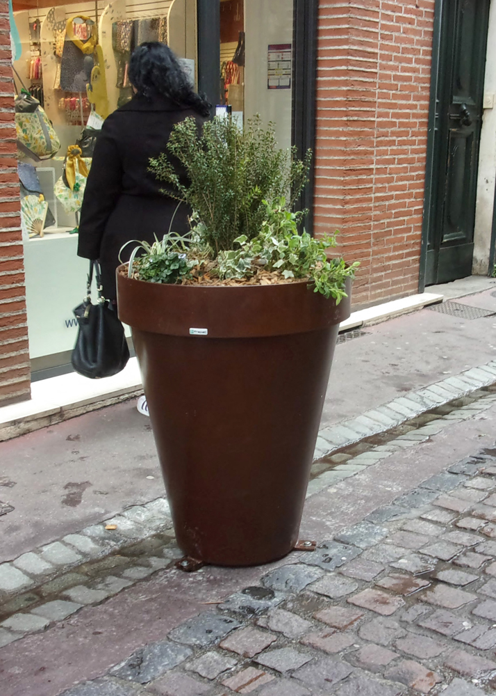 Photos Rue De La Pomme 9 S